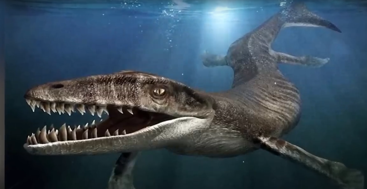 Правда красотка?, ну такая прям, ам,ам, рьрьрь *найдено на просторах интернета.