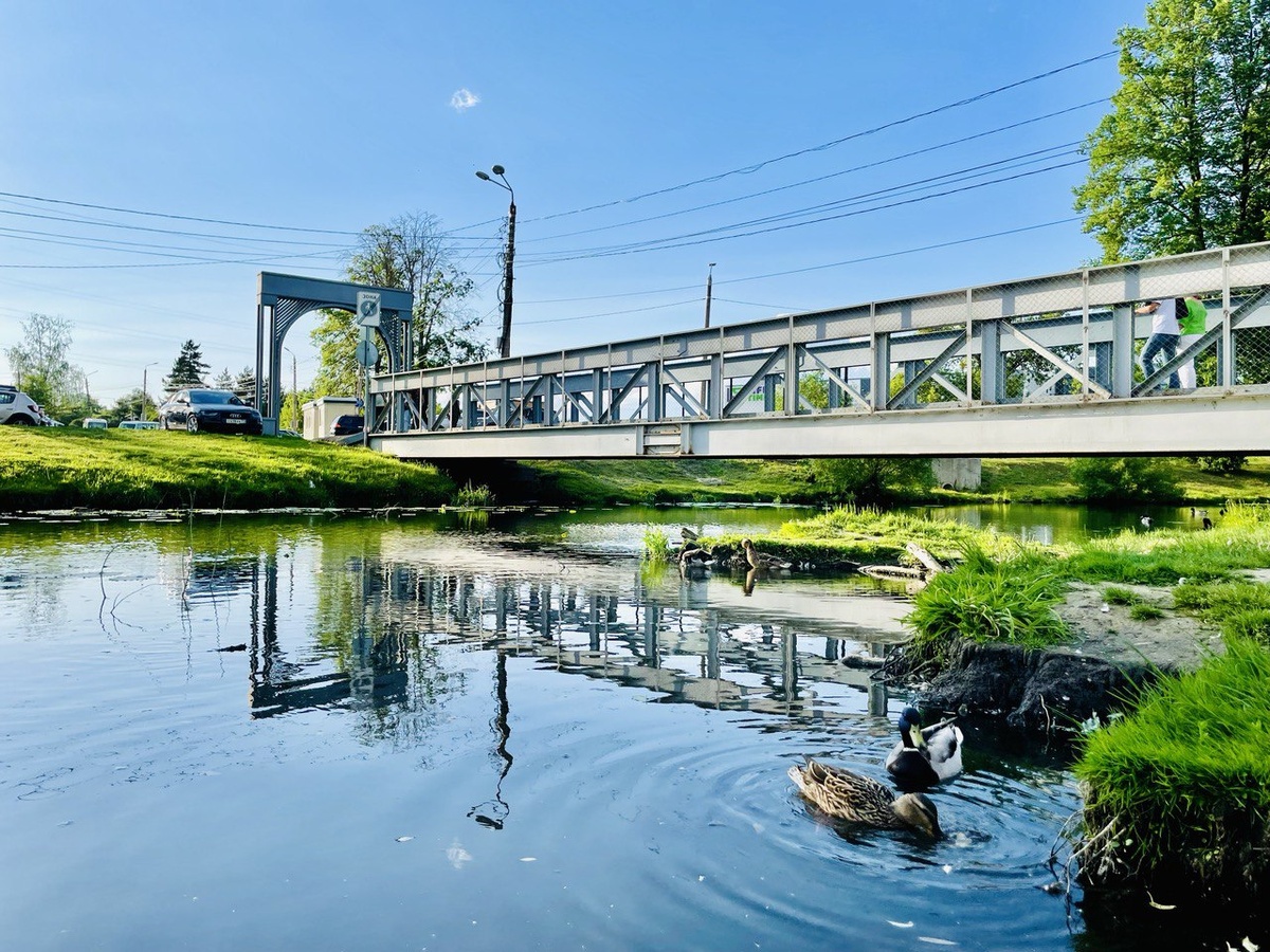 Фото: Тульская служба новостей