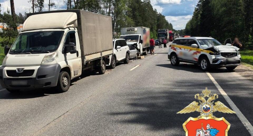    пресс-служба ГУ МВД по Московской области / Telegram