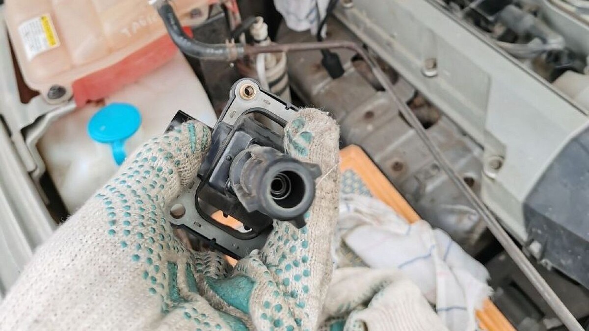    Фото: телеканал «Краснодар»