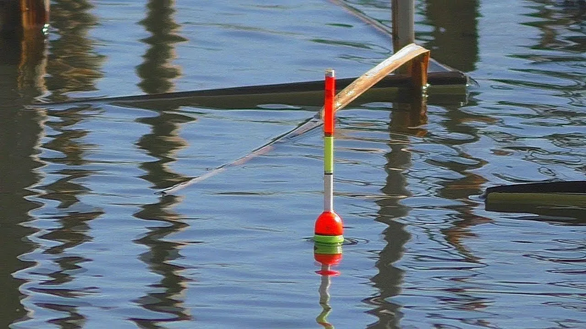 Фото с сайта: https://avatars.mds.yandex.net