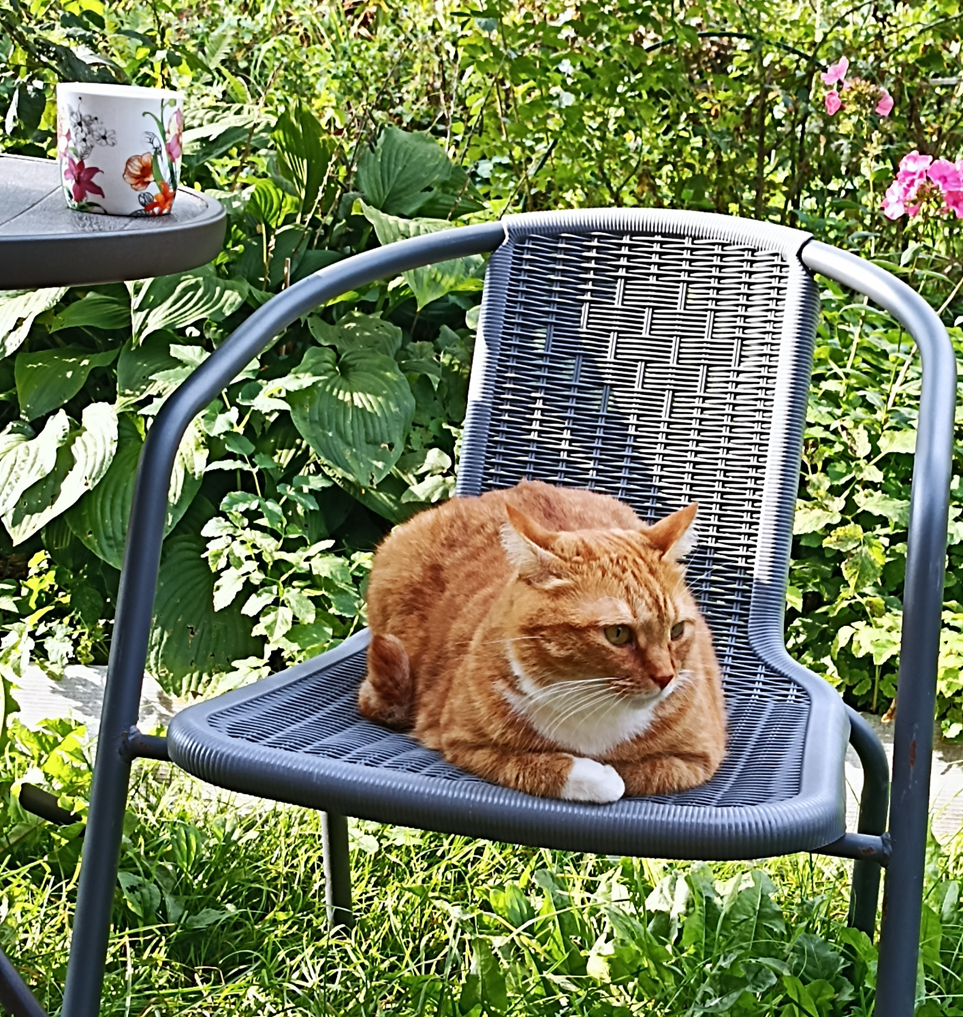 Василий на отдыхе. Фото автора