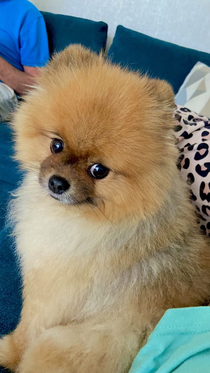 Всей семьей пишем публикацию для вас 😆