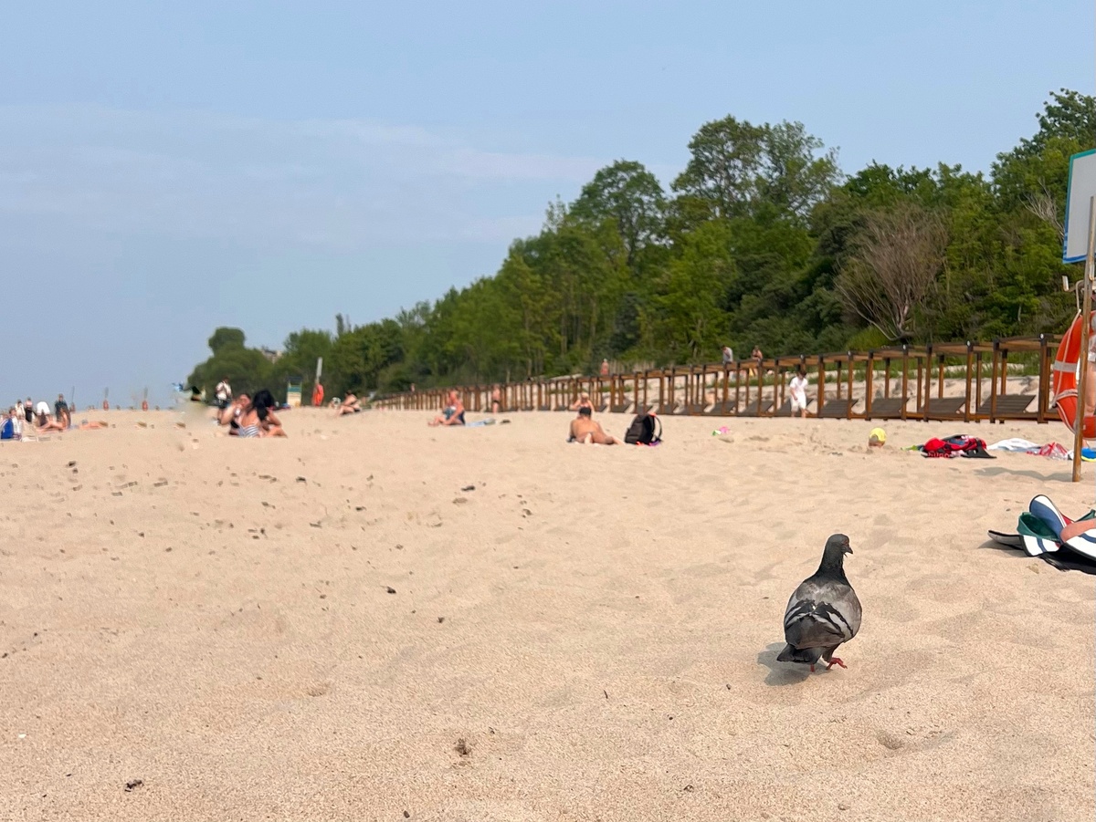 Если на пляже никого нет — это не пустота. Это личное пространство.