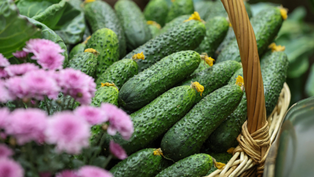    Фото: Belkin Alexey/news.ru/Globallookpress