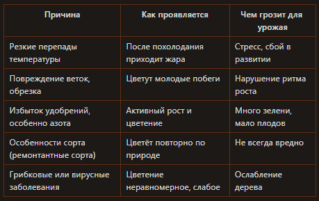 Причины повторного цветения груши