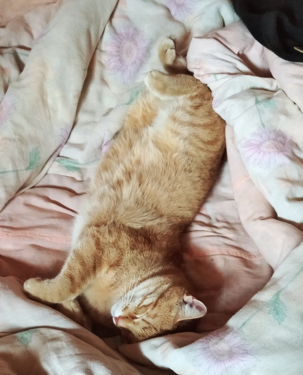 Личное фото