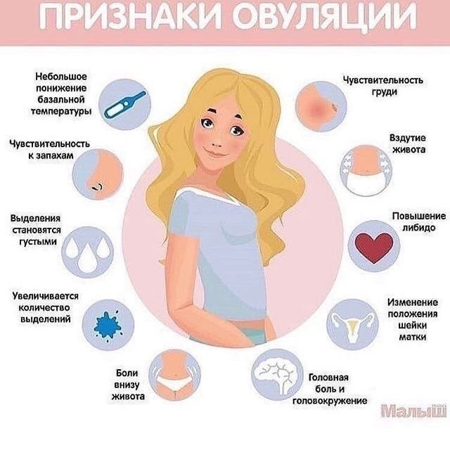 Картинка из открытых источников