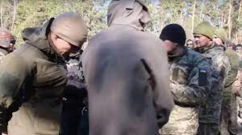    Фото: t.me/mod_russia