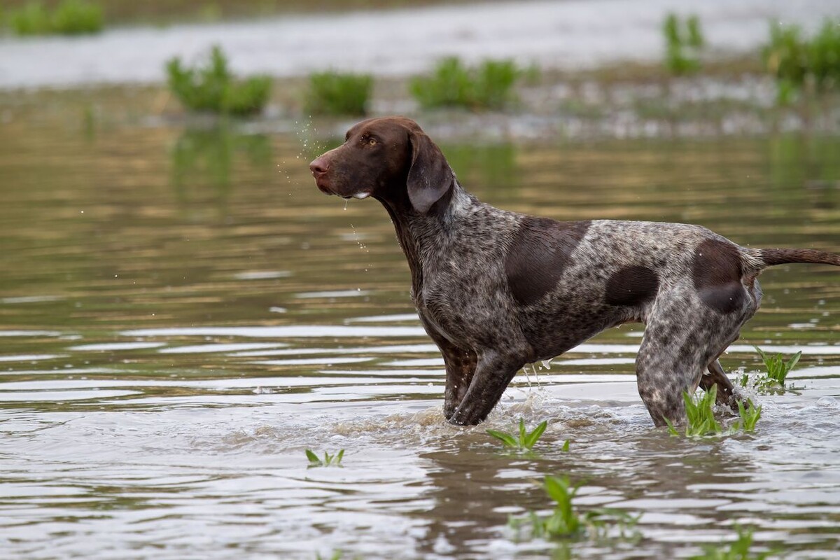 Какая тёплая водичка!