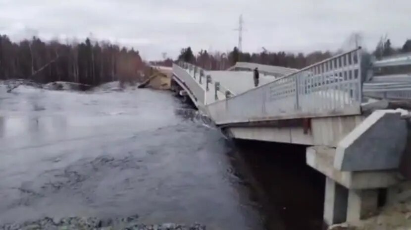    Фото: скриншот из видео в телеграм-канале «Осторожно, Ямал».