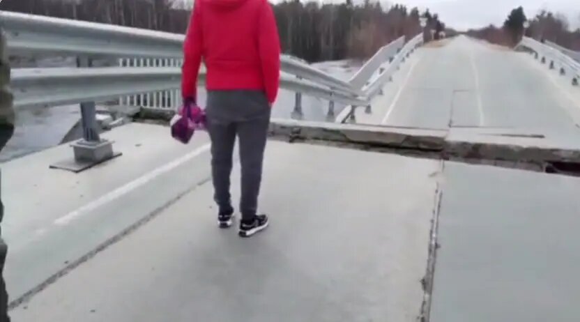    Фото: скриншот из видео в телеграм-канале «Осторожно, Ямал».