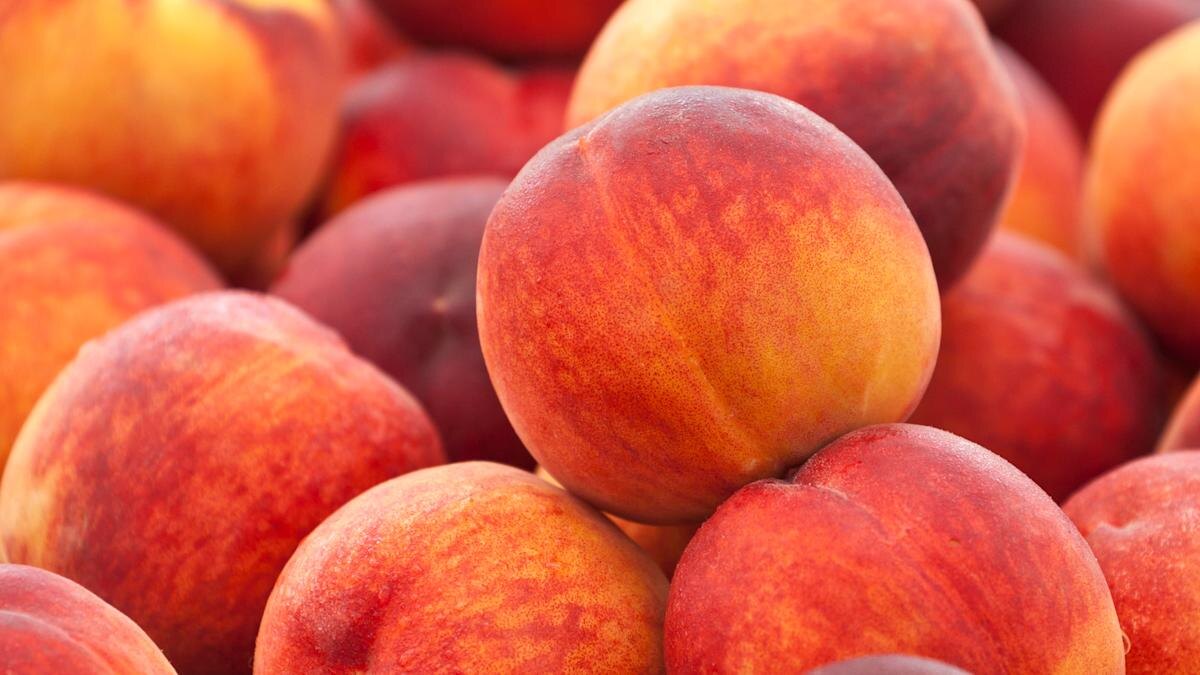 Фото с Яндекса 