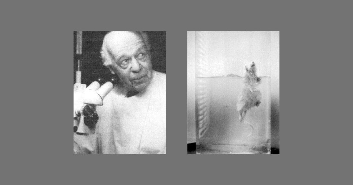 Эксперимент "Надежда"