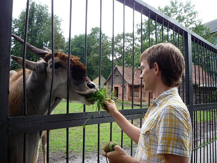 ДА Я В МОЛОДОСТИ ДИКИХ ЗВЕРЕЙ С РУК КОРМИЛ!*
*В Калининградском зоопарке можно и даже приветствуется.