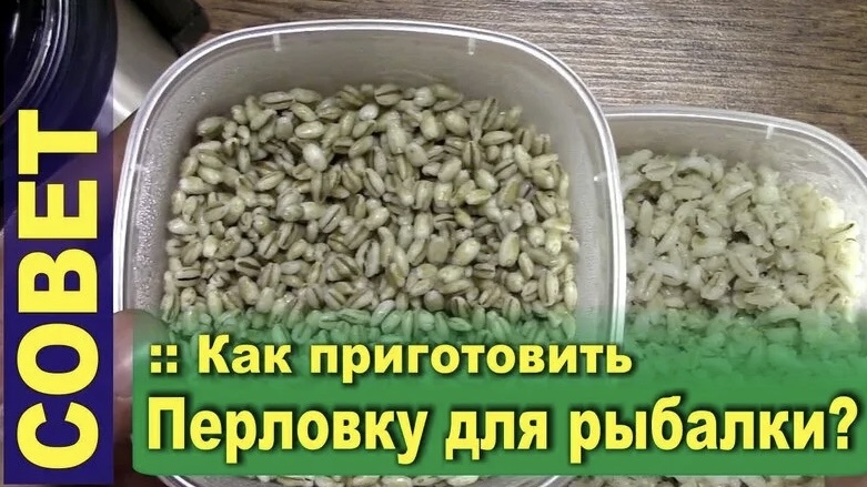 Как правильно сварить перловку для рыбалки!!