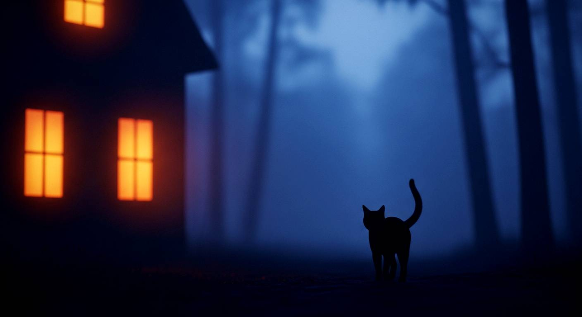 Приметы про кошек: что означает, когда загадочная кошка уходит из дома?