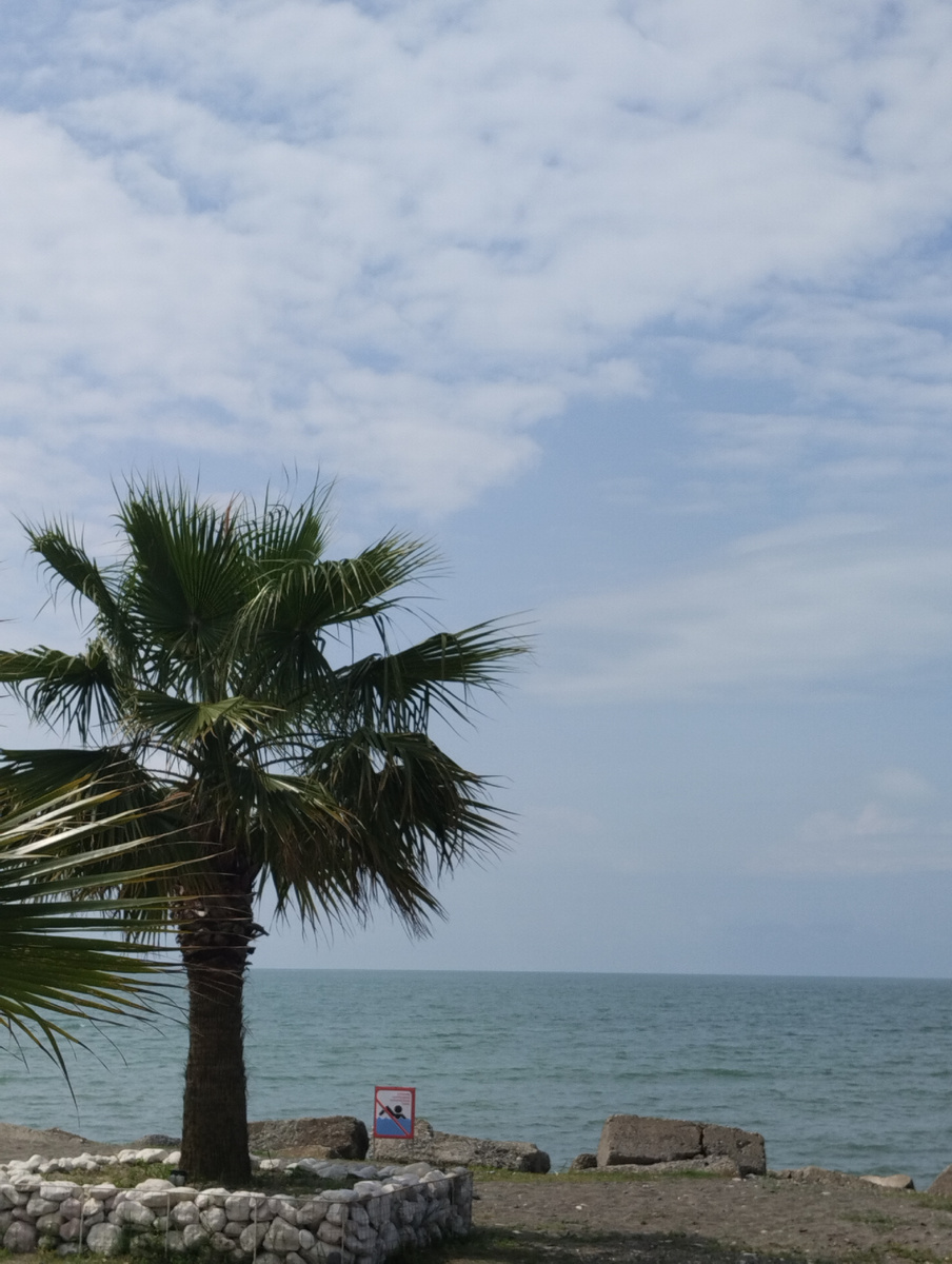 Для обложки