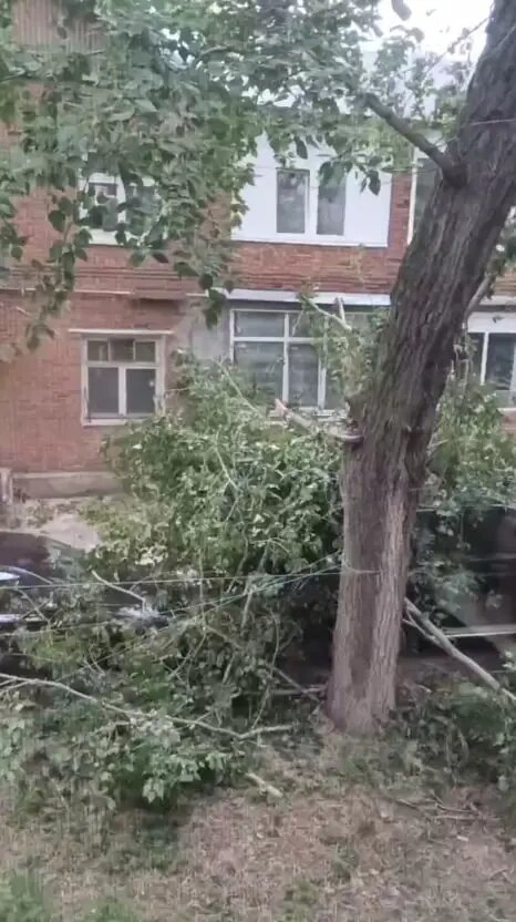    Фото: скриншот из видео в соцсетях.