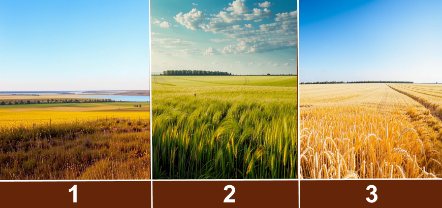 Выберите один пейзаж