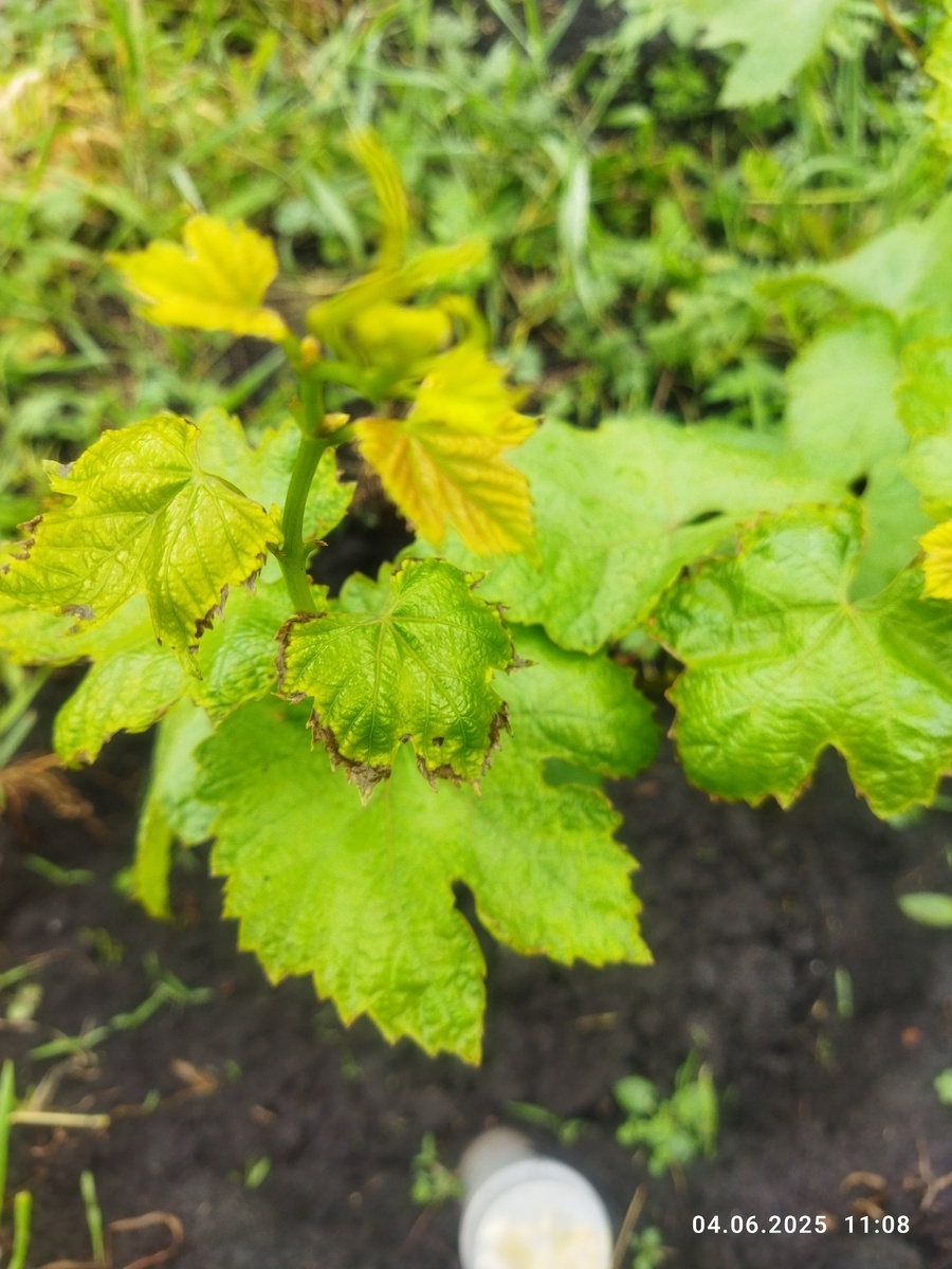 Фото подписчика 