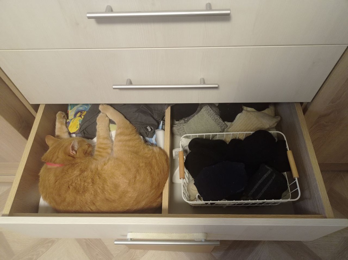 Лучья наглость.