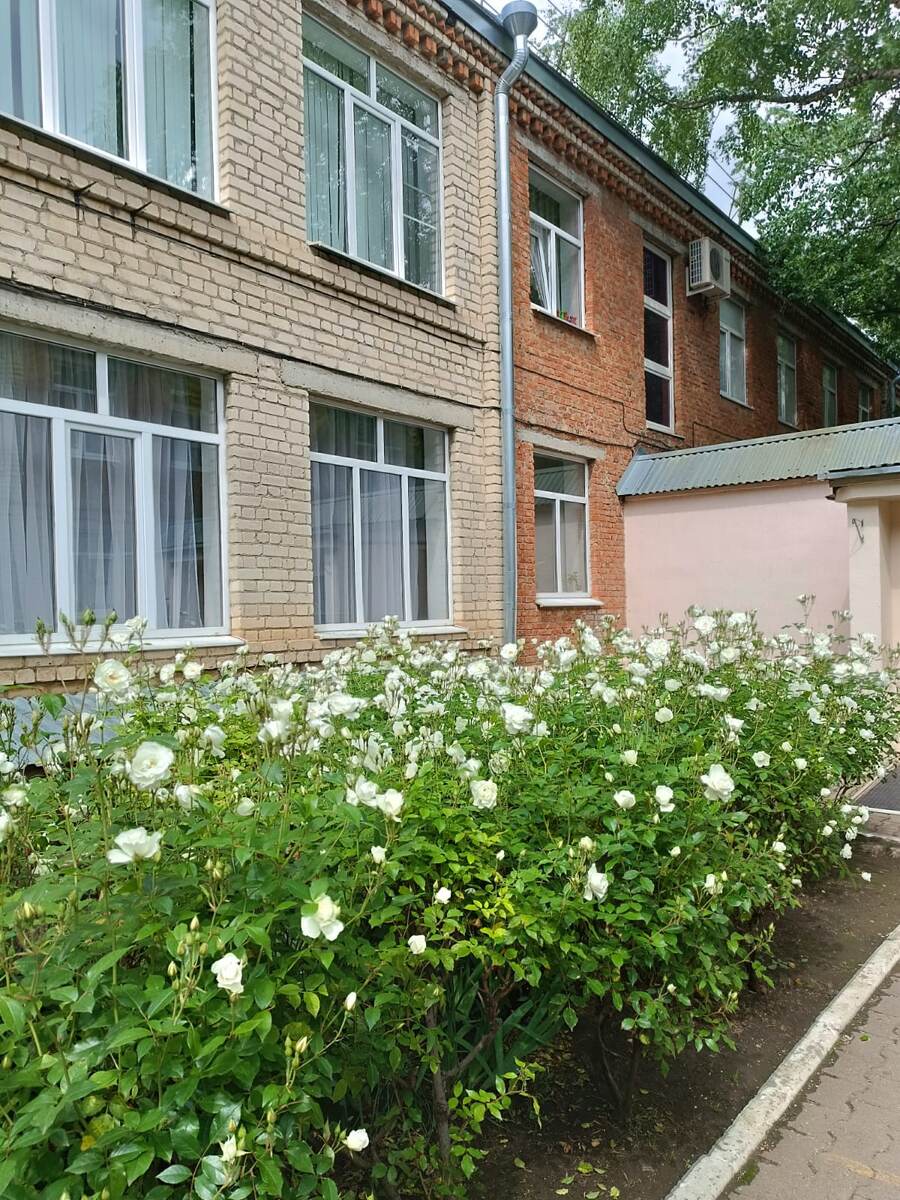 Гимназия Интеллект в здании старого детского сада. Палисадник. 