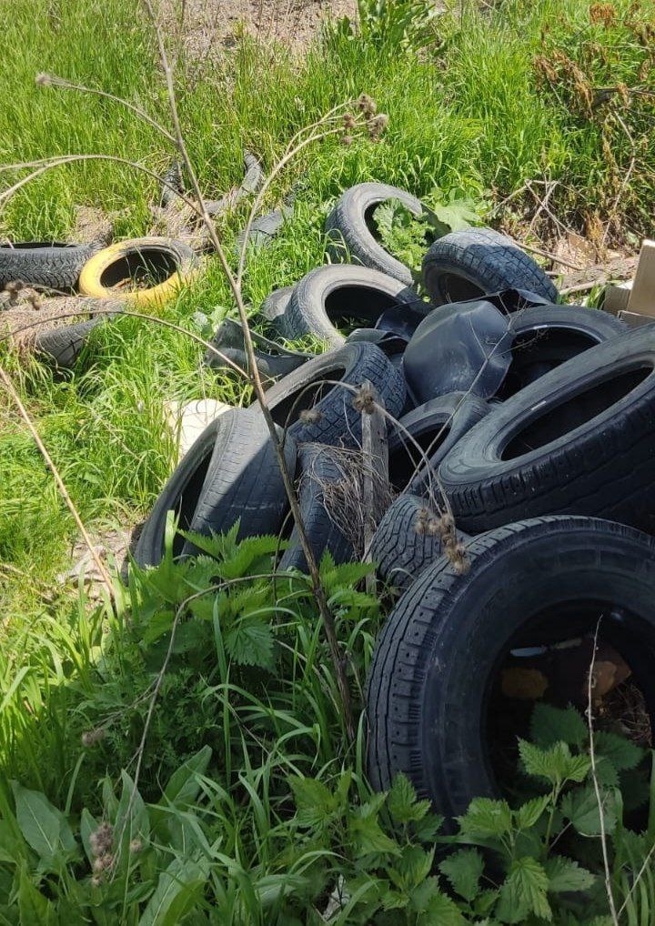 Покрышки поджидали их за каждой мусоркой