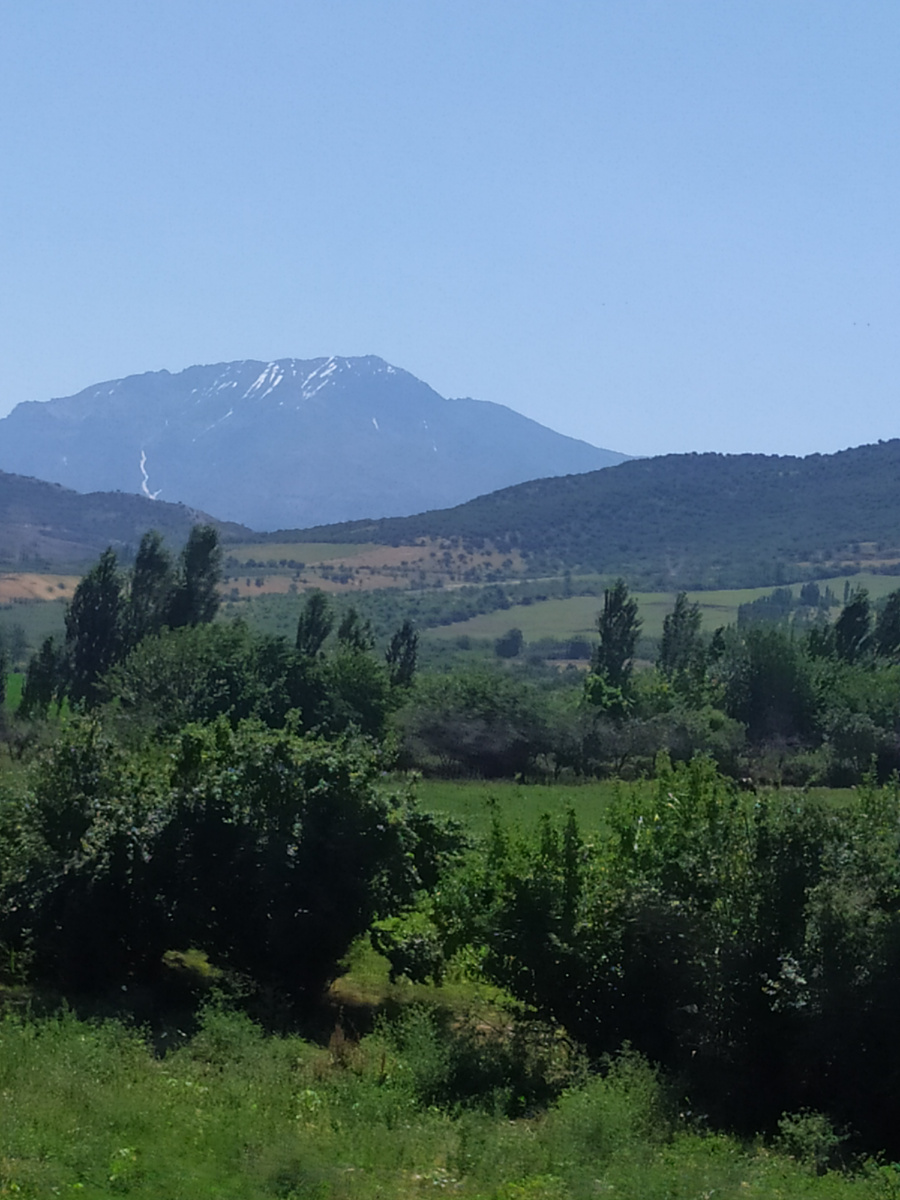 Фото автора.