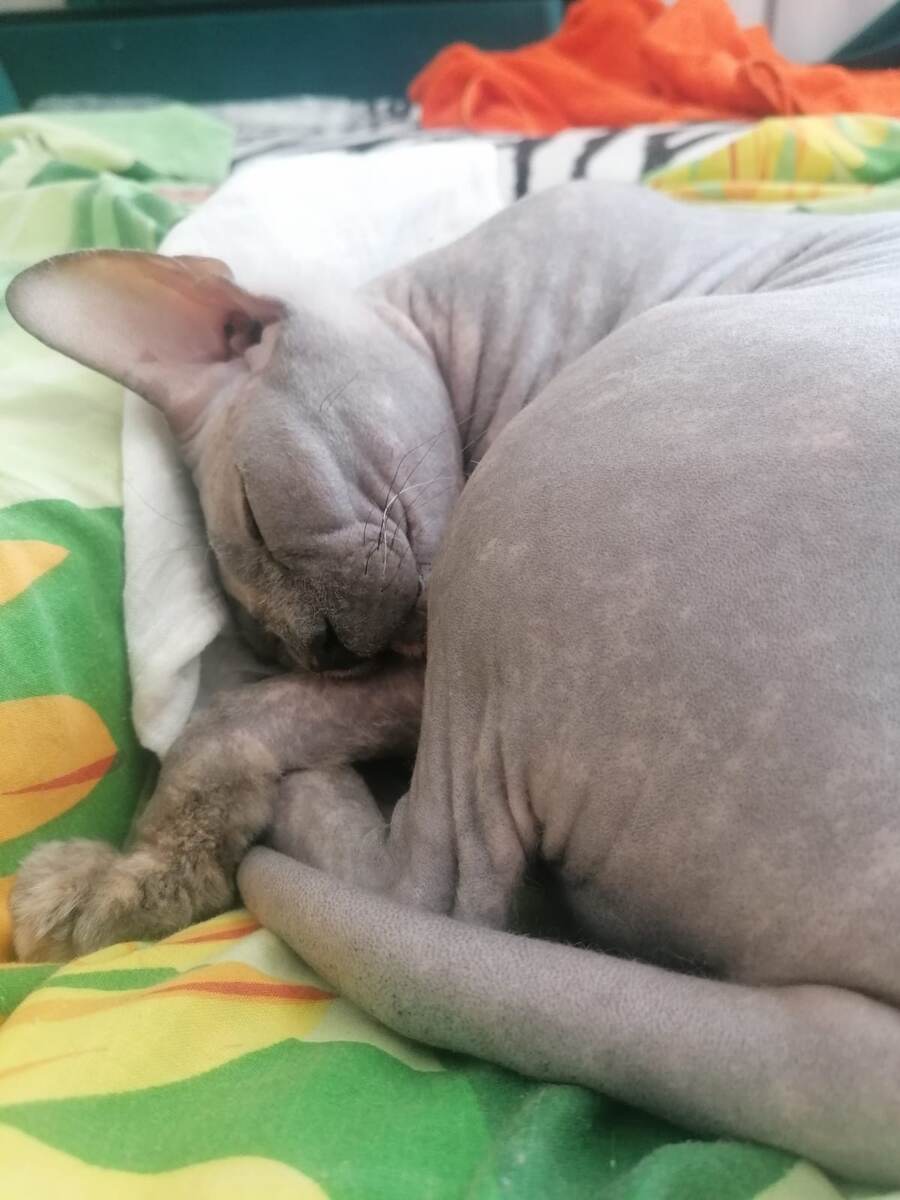 можно как-нибудь потише собираться на работу?