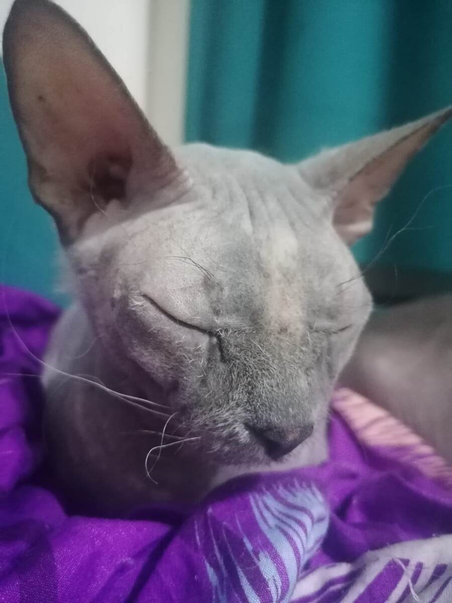 уставшая и довольная