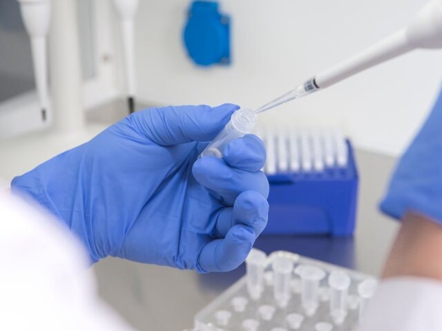    Фото: 123RF/vigenm