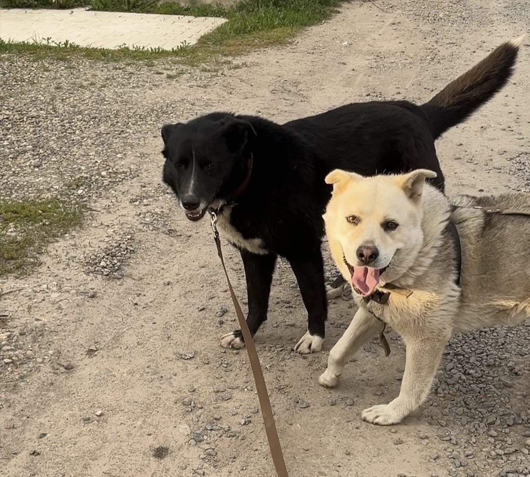 Выпускница Вася с другом Дружком 🙂