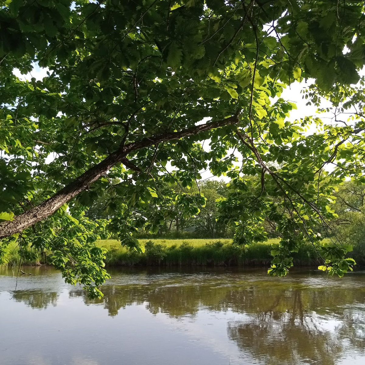 Оригинальное фото.