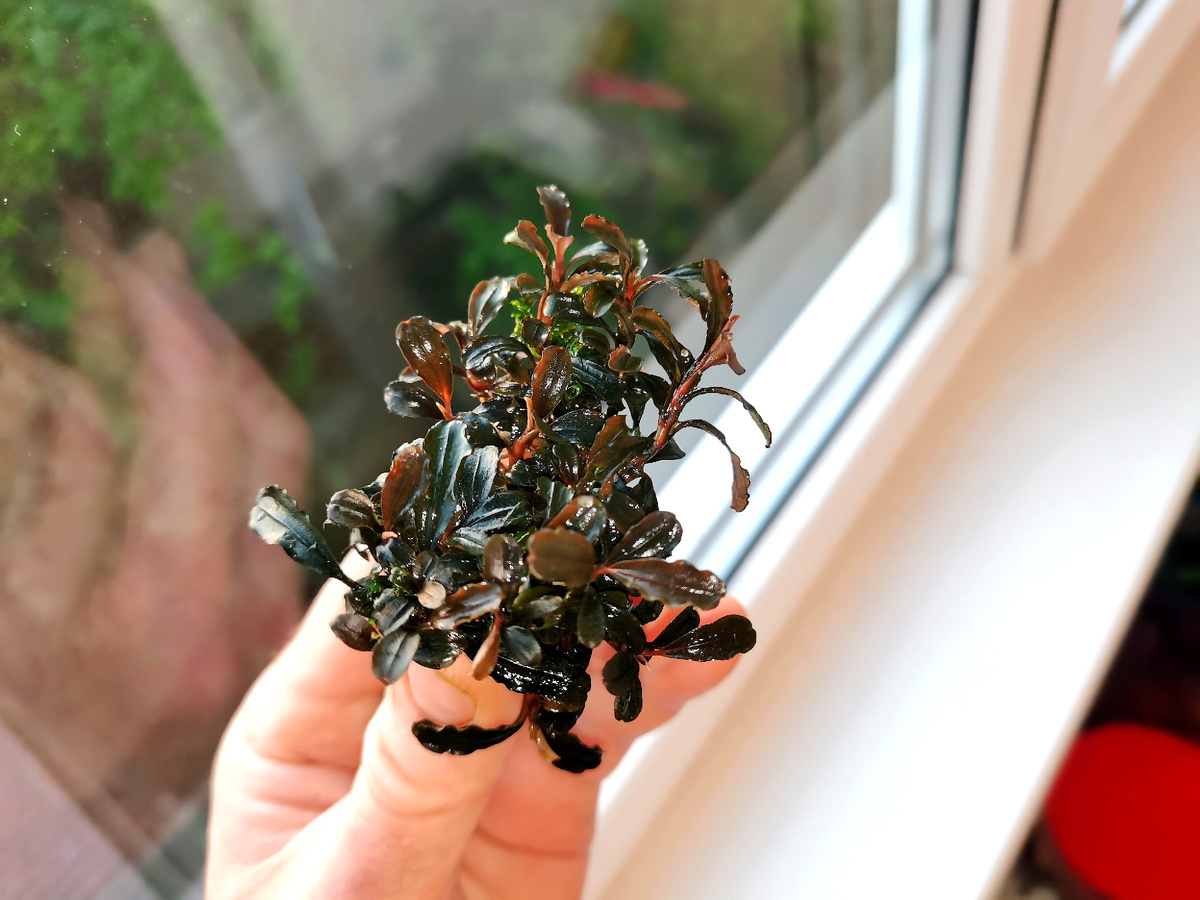 Под солнечным освещением