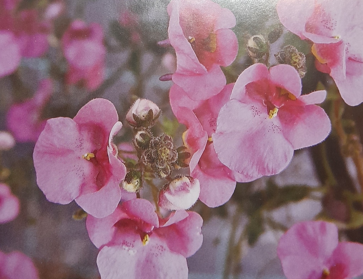 Фото автора канала