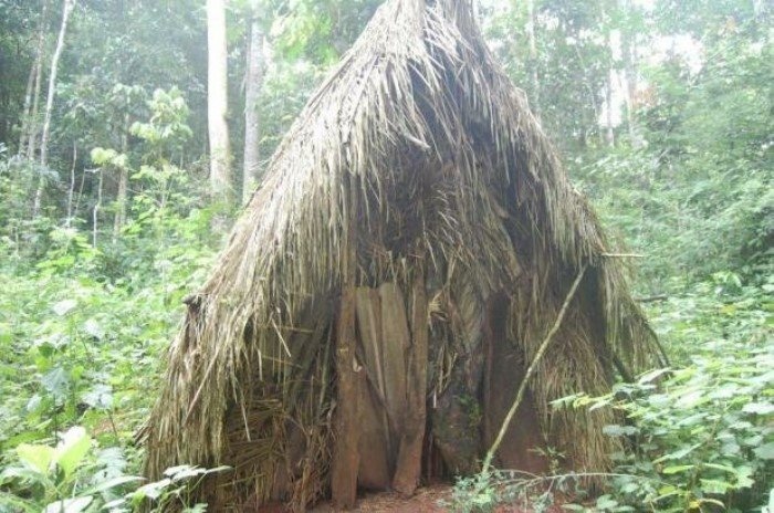 Продается домик в тихом месте без шумных соседей