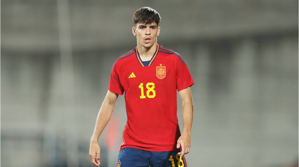 Габри Вейга