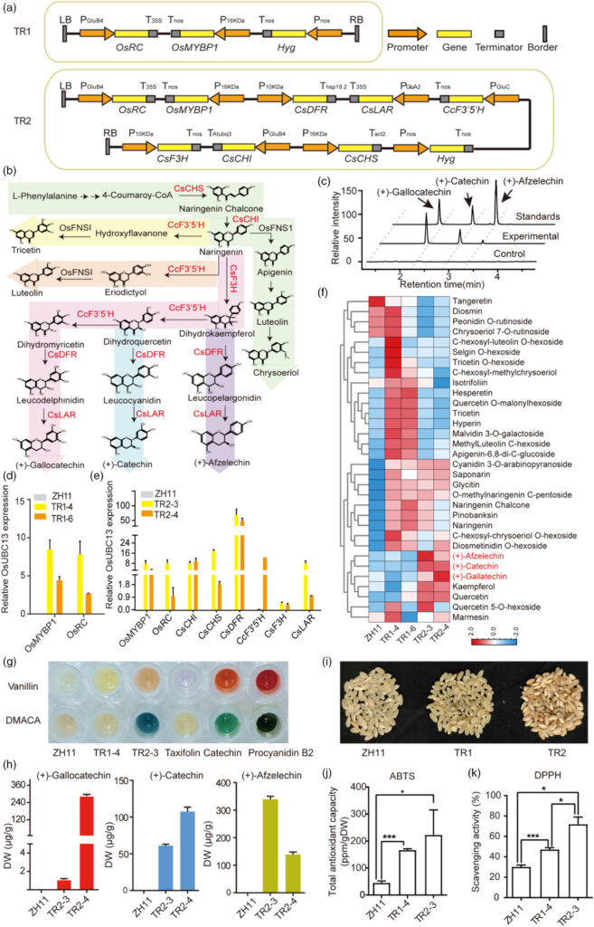 onlinelibrary.wiley.com