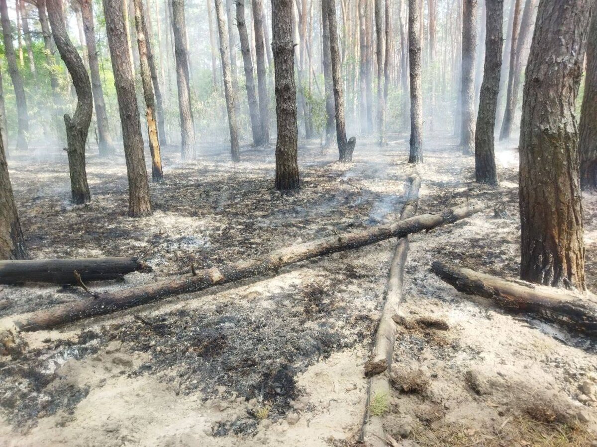 Фото: администрация Курска