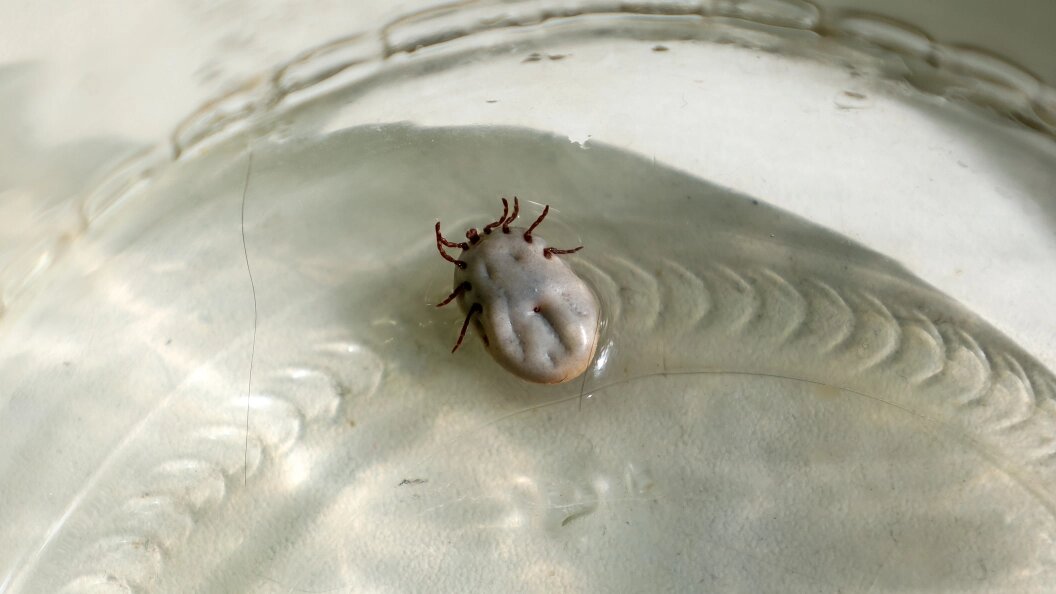    Фото: Elena Mayorova/Globallookpress