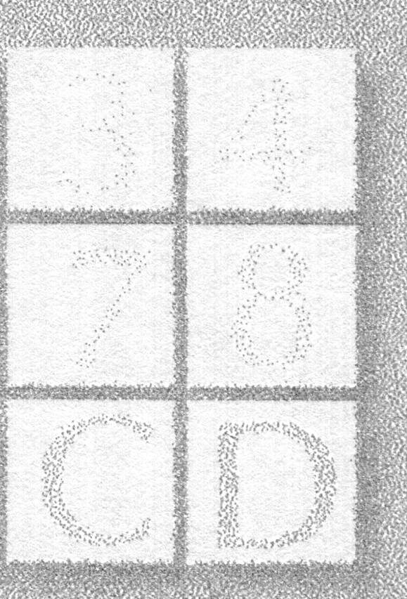 Изображение, полученное при помощи принтера EpsonL800 № 1