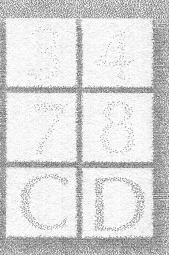 Изображение, полученное при помощи принтера EpsonL800 № 2