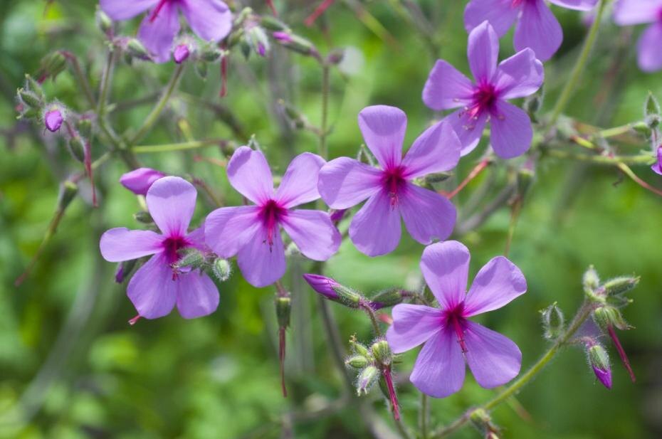    Katja Liedle/face to face/Global Look Press