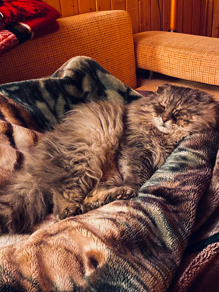 Как же я устал! Слуги не фига ничего не делают!