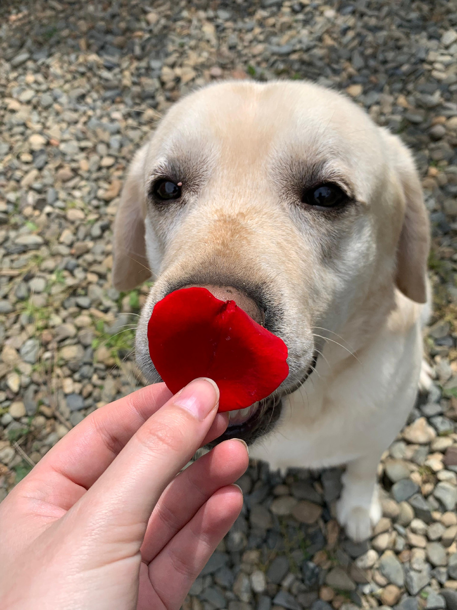 Личное фото