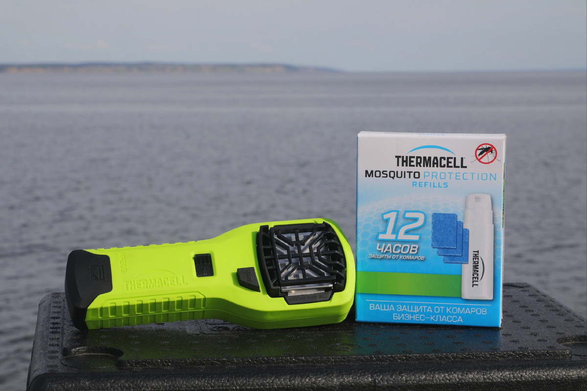 Фото: Даниил Цветов / ВКонтакте