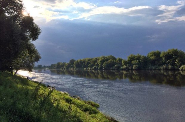 Перед дождём