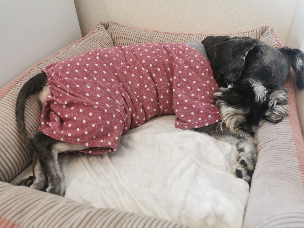 Нарядилась и пошла спать 