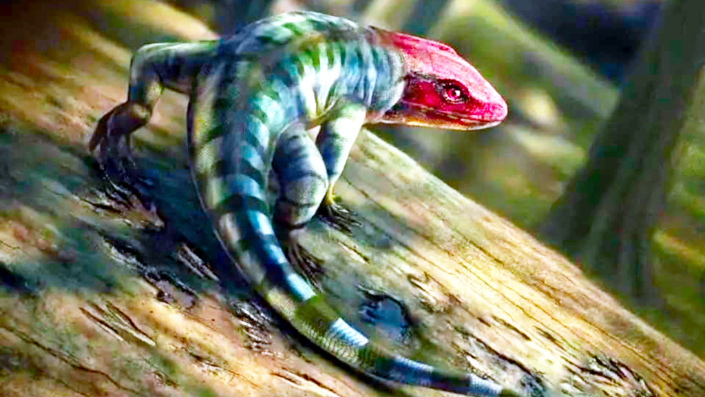 И фантазия художника об их предполагаемом хозяине.